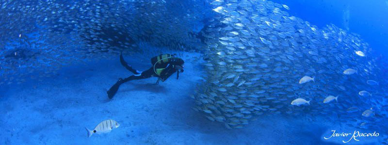 Buceo en Tenerife Rincon de Arona. Embarcadión