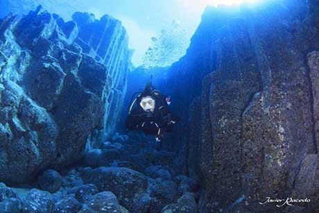 Centro de buceo Tenerife. Diving adventure in Tenerife