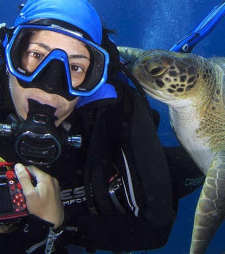 Donde bucear con tortugas  en Tenerife. Club de Buceo Rincón de Arona.