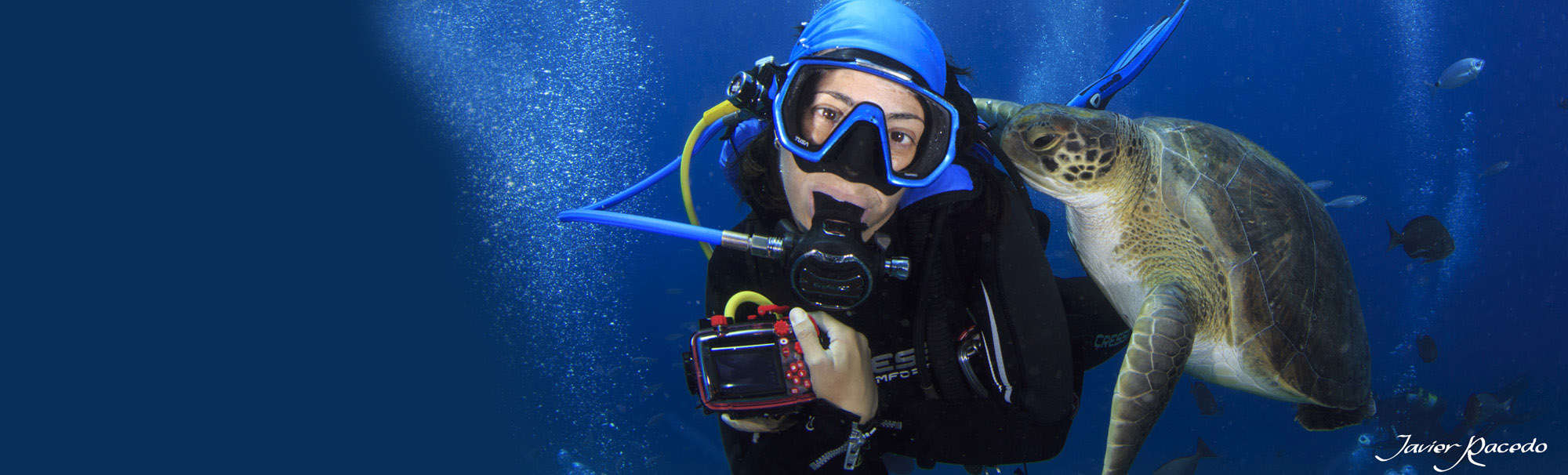 Buceo con tortugas en Tenerife, Club de Buceo Rincón de Arona.